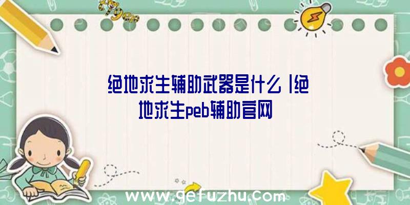 「绝地求生辅助武器是什么」|绝地求生peb辅助官网